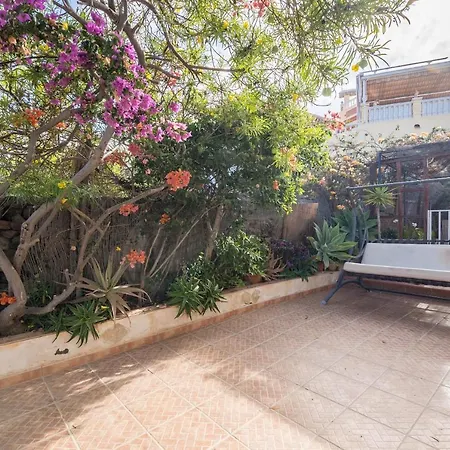 Highbury Grove * Callao Salvaje